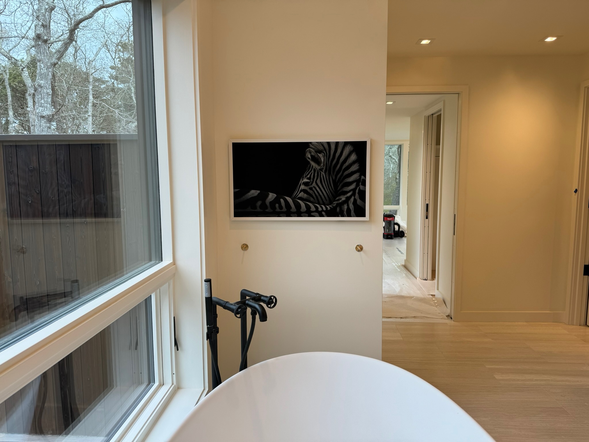 MVIS project image