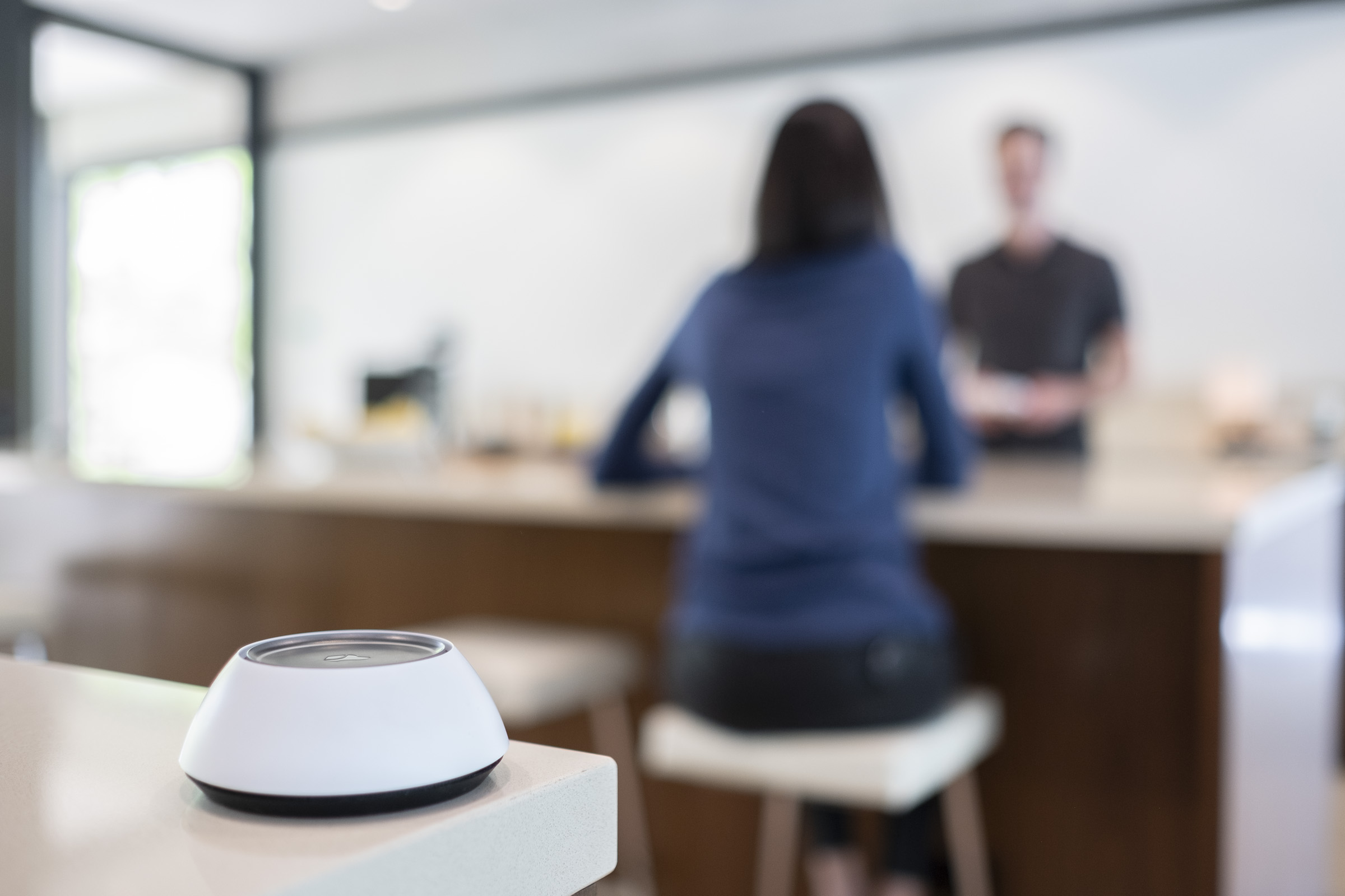 Luxury interior with integrated smart home voice control