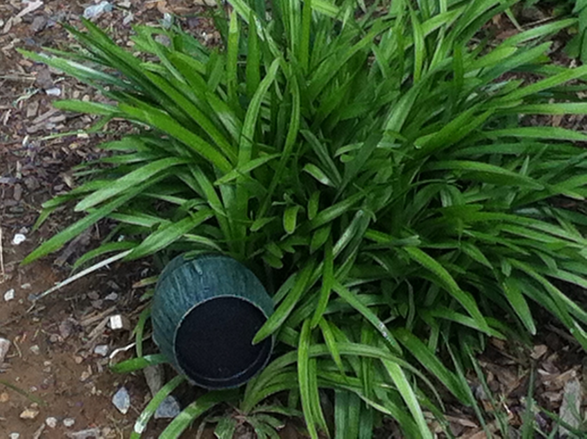 Minimalist media wall