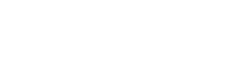 Control4 Gold Dealer