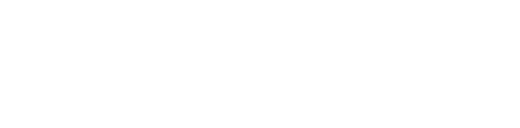 Control4 Gold Dealer