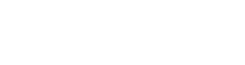 Savant Logo