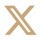 x icon