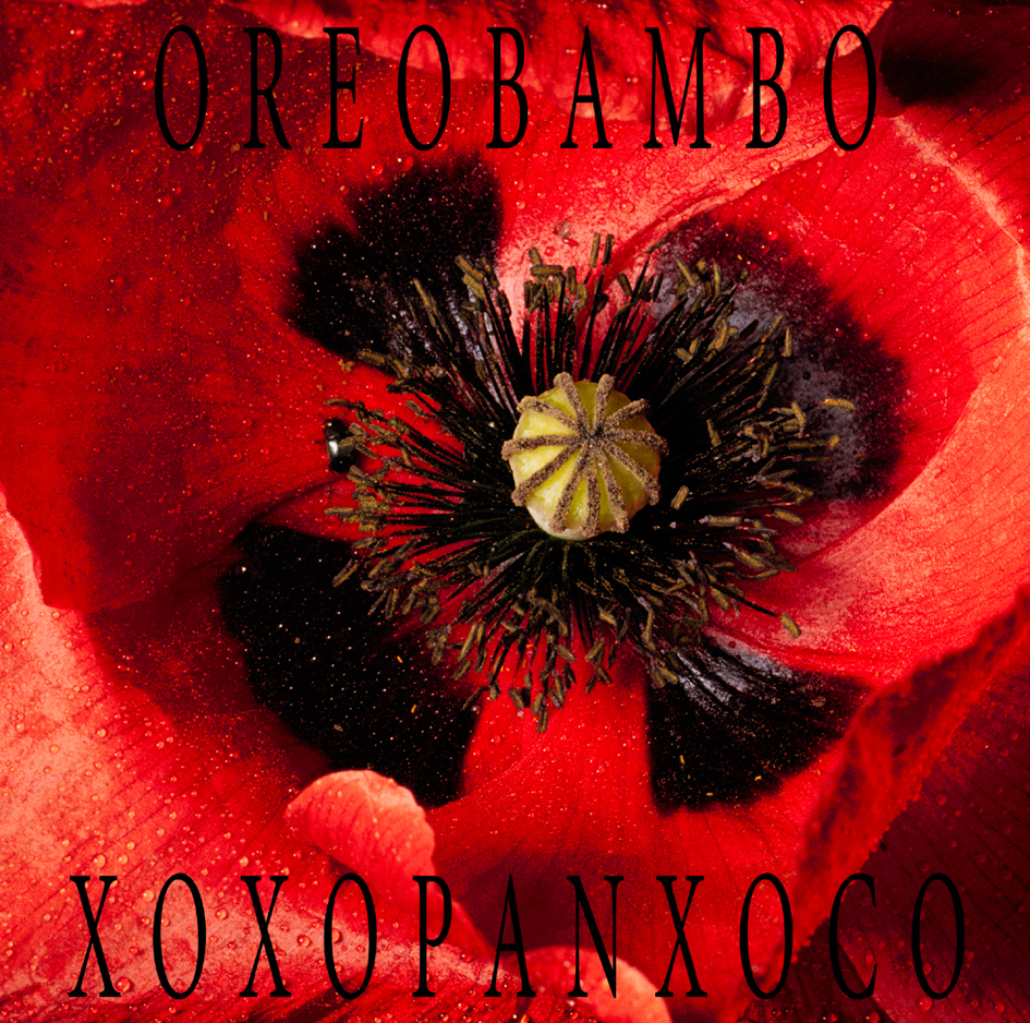 Oreobambo Xoxopanxoco