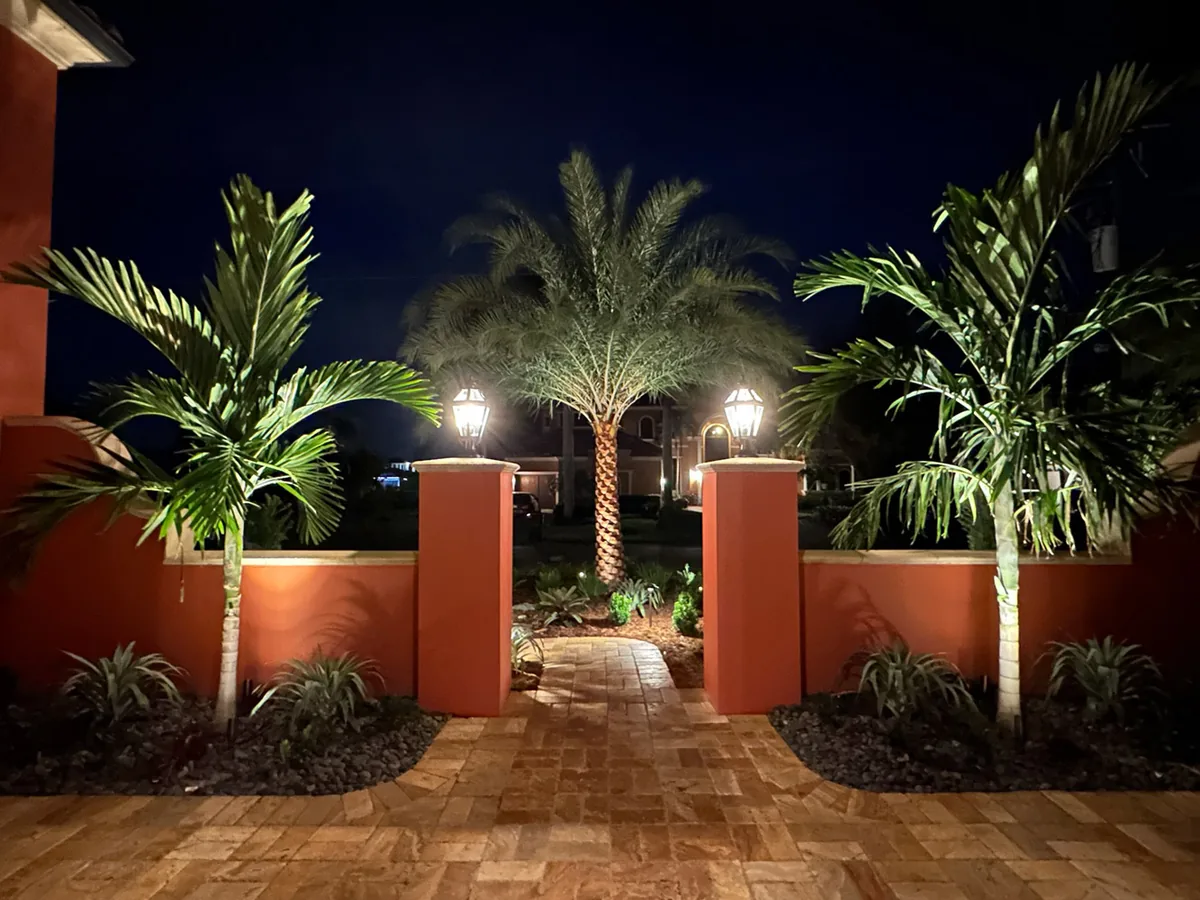 Landscape lighting after dark, palms uplit from the bed.